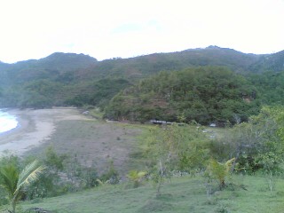 pelang