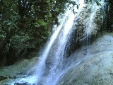 pelang